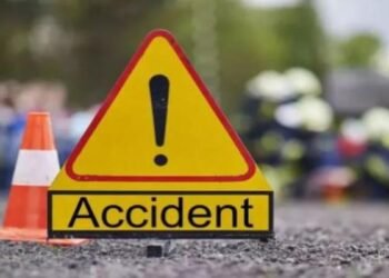 Jharkhand News: कोहरे के आगोश में काल बनकर आई वाहन, साइकिल सवार की दर्दनाक मौत