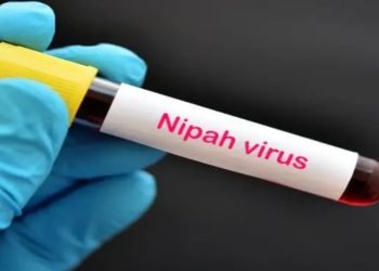 Nipah Virus Alert: देश में निपाह वायरस ने फिर दी दस्तक, केरल में हाई अलर्ट जारी