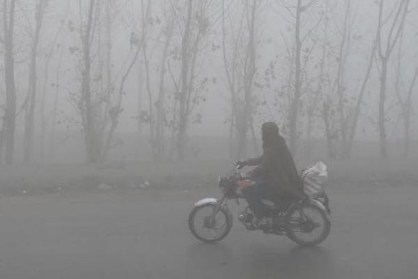 Jharkhand Weather Update: झारखंड में हाड़ कंपाने वाली ठंड, मैक्लुस्कीगंज का पारा पहुंचा माइनस में