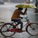Jharkhand Weather Today: रांची समेत इन जिलों में बारिश की आशंका, तेज हवा-वज्रपात के आसार 7 Jharkhand Weather Today: रांची समेत इन जिलों में बारिश की आशंका, तेज हवा-वज्रपात के आसार