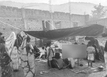 गावां में जंगली बिरनी का आतंक-15 दिनों में तीन मौतें, 150 से अधिक घायल