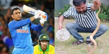 रांची में धोनी के फार्महाउस में घुसा 18 साल पुराना कोबरा सांप 10 रांची में धोनी के फार्महाउस में घुसा 18 साल पुराना कोबरा सांप