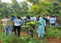 दुमका के करमाटांड़ जंगल में महिला का सड़ा-गला शव बरामद, जांच में जुटी पुलिस