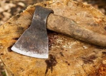 Bokaro News: बोकारो में खौफनाक वारदात, कुल्हाड़ी से काटकर महिला की हत्या