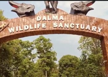 दलमा में आदिवासियों ने मनाया सेंदरा पर्व, जानवरों का नहीं किया शिकार