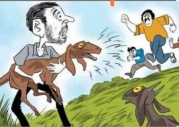 four goat thieves were arrested along with an i20 car