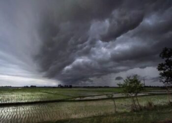 झारखंड में बारिश की वापसी! 15 जिलों में येलो अलर्ट, वज्रपात का खतरा