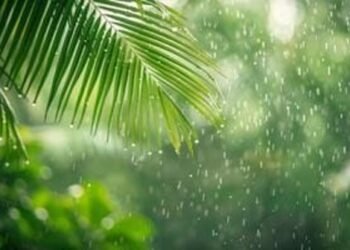 monsoon begins in jharkhand