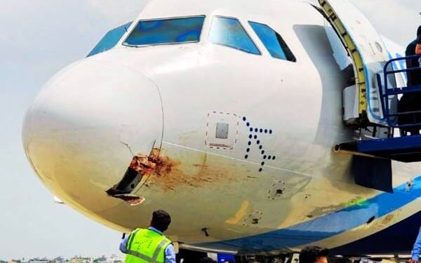 पटना से रांची आ रही फ्लाइट से टकराया गिद्ध