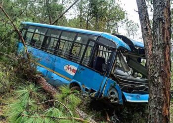 मंडी में एक बस खाई में गिरी