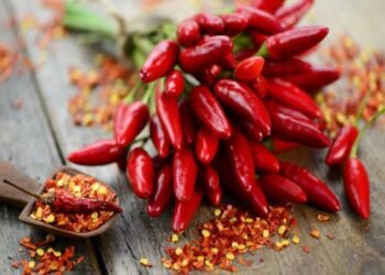 Chilli benifits