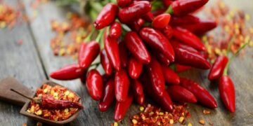 Chilli benifits
