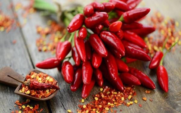Chilli benifits