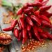 Chilli benifits