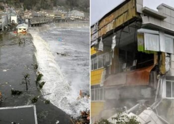 रूस में आया 8.8 का भूकंप, सुनामी ने जापान में मचाई तबाही – क्या भारत भी खतरे में है?
