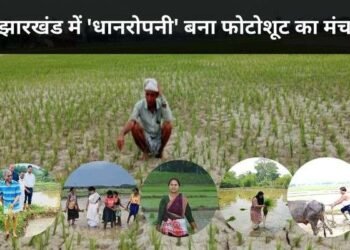 Paddy cultivation becomes a stage for photoshoot in Jharkhand, officials and leaders unaware of the real issues