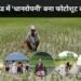 Paddy cultivation becomes a stage for photoshoot in Jharkhand, officials and leaders unaware of the real issues