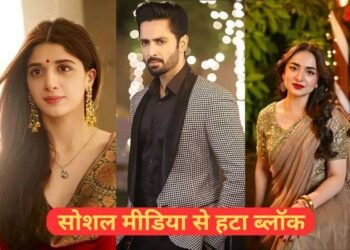 फिरसे दिखने लगे कुछ पाकिस्तानी कलाकारों के अकाउंट,