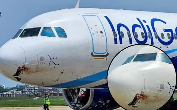 पटना एयरपोर्ट से उड़ान भरते ही इंडिगो फ्लाइट से टकराया पक्षी,