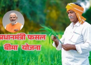 प्रधानमंत्री फसल बीमा योजना से मिलेगा सीधा मुआवज़ा, जानिए किन किसानों को इस योजना का मिलेगा लाभ