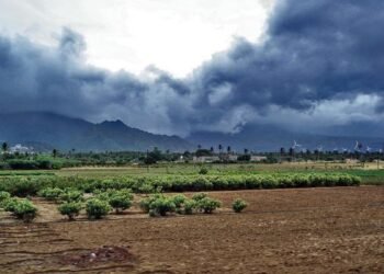 झारखंड में मानसून ने पकड़ी रफ्तार, कई जिलों में भारी बारिश से बढ़ी चिंता | अलर्ट जारी