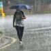 Jharkhand Weather: Heavy rain warning in Jharkhand, yellow alert in 13 districts, highest rainfall recorded in East Singhbhum