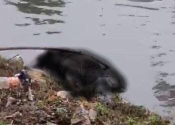 Ranchi: An unknown body was found in Nivaranpur Harmu river, sensation spread in the area