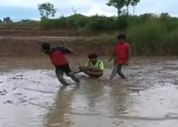 The bulls died, there was no money… now the sons are ploughing the fields! Leela Oraon's story will make you cry