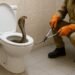Pakur News: A poisonous cobra came out of the bathroom commode, the forest department rescued it in 15 minutes
