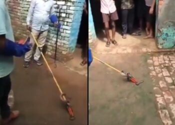 The female snake arrived to take revenge!" In Etah, a female snake was seen in a house 15 days after the death of the male snake, it kept hissing for 24 hours - there was a stir in the village!