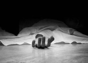 Tragic incident in Dumri: Drunk son kills father by smashing his head