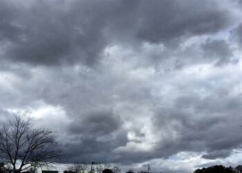 Rain havoc in Jharkhand! Water will not stop for the next 5 days, see the condition of your district