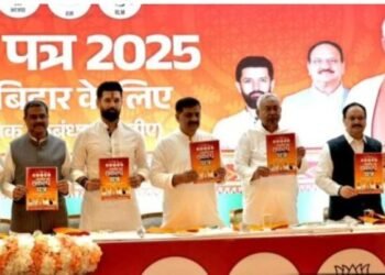 Big Breaking: NDA's election manifesto released - big announcements for women, farmers and youth!
