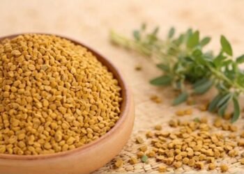 वज़न घटाना हो या ब्लड शुगर कंट्रोल – इसके बीज हैं आपकी सेहत के Superhero!