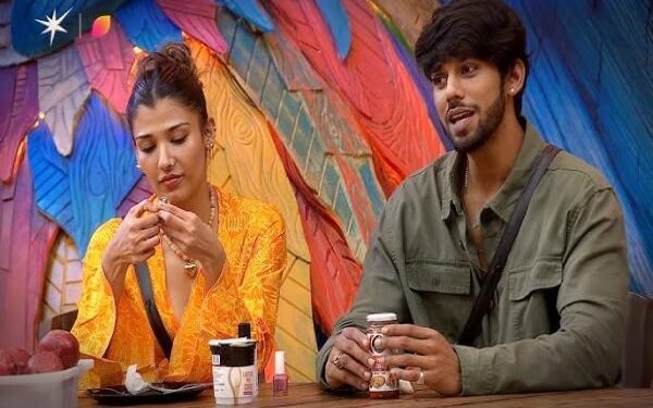 After Bigg Boss 19, Basir and Nehal's relationship broke, they unfollowed each other!