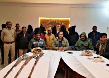 पलामू में वाइल्डलाइफ माफिया भंडाफोड़, महिला सहित 6 तस्कर हथियार के साथ गिरफ्तार