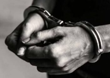 बिहार चुनाव से पहले झारखंड सीमा पर बड़ा ऑपरेशन, करोड़ों की अवैध शराब जब्त, 303 अपराधी गिरफ्तार!