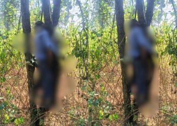रेडवा जंगल में सनसनी: अज्ञात प्रेमी जोड़े का सड़ा-गला शव मिलने से हड़कंप