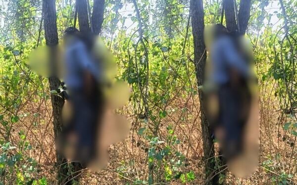 रेडवा जंगल में सनसनी: अज्ञात प्रेमी जोड़े का सड़ा-गला शव मिलने से हड़कंप