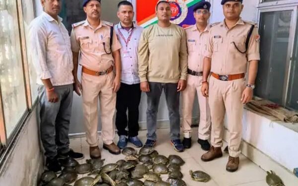 धनबाद रेलवे स्टेशन पर RPF की बड़ी कार्रवाई, ₹7.8 लाख के कछुए ट्रेन से बरामद