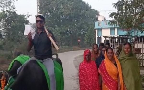 बिहार में वोट देने का अनोखा अंदाज, भैंस पर बैठकर बूथ पहुंचा मतदाता; देखें वीडियो