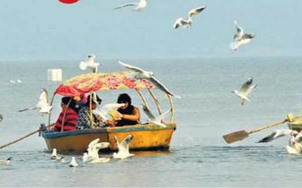 पतरातू डैम में पहुंचे सैकड़ों साइबेरियन पक्षी, प्रवासियों की चहचहाहट से पर्यटन में आई रौनक