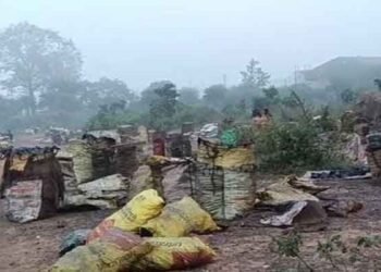 गिरिडीह में कोयला माफियाओं पर पुलिस का बड़ा वार! तस्करों में मचा हड़कंप