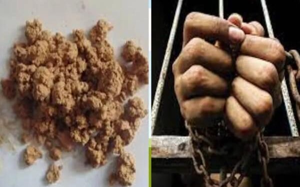 Ranchi Crime News: रांची के बरियातू में ब्राउन शुगर गैंग का भंडाफोड़