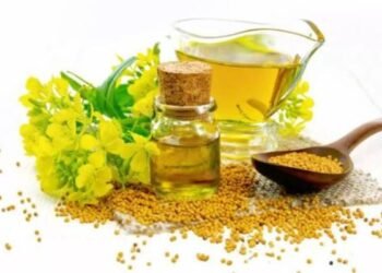 Health Tips: महंगी क्रीम भूल जाइए! ठंड में वरदान है सरसों का तेल; जानें मालिश से लेकर खाने तक के फायदे