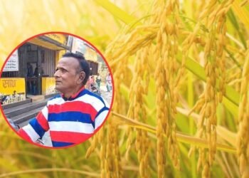 झारखंड में धान की सरकारी खरीद शुरू, बिचौलियों की वजह से कुछ किसान हुए निराश