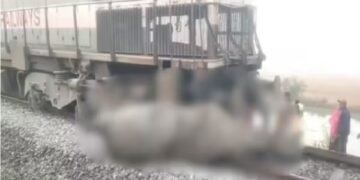 असम में बड़ा रेल हादसा: जंगली हाथियों से टकराई राजधानी एक्सप्रेस, यात्री...