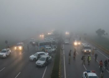 Jharkhand News: घने कोहरे से बढ़ीं सड़क दुर्घटनाएं, सड़क सुरक्षा कोषांग ने जिलों को जारी किए सख्त निर्देश