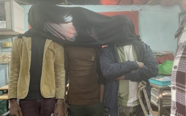 Major theft in Putki revealed, three accused arrested