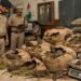 Jharkhand News: 200 kg of marijuana kept under police surveillance 'eaten by rats'